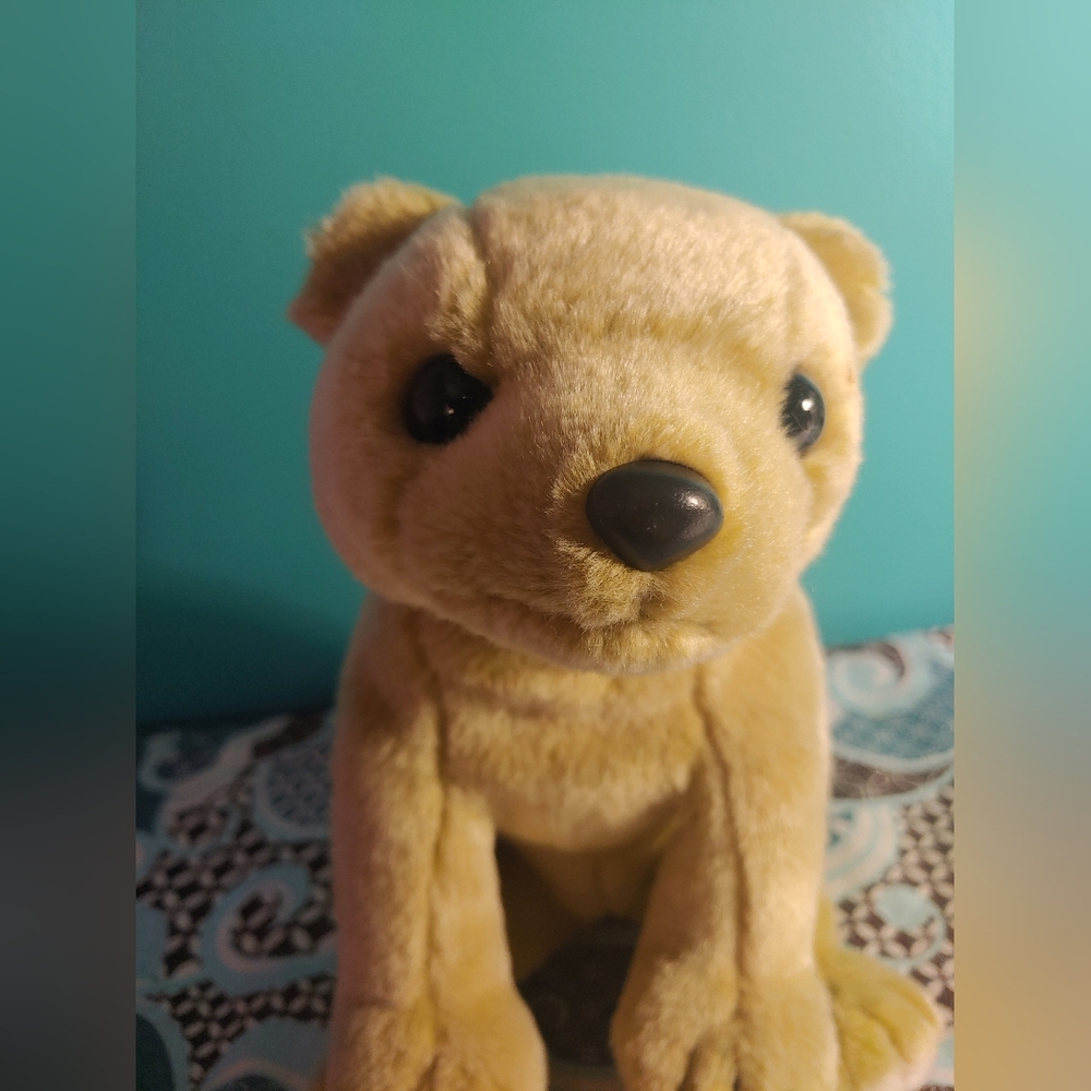 Ty Beanie Buddies Almond Bear Cub Stuffed Animal Plush Toy